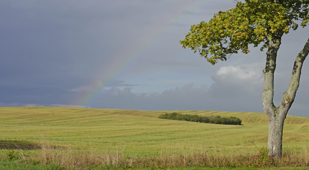 Regenbogen auf dem Land (2).jpg