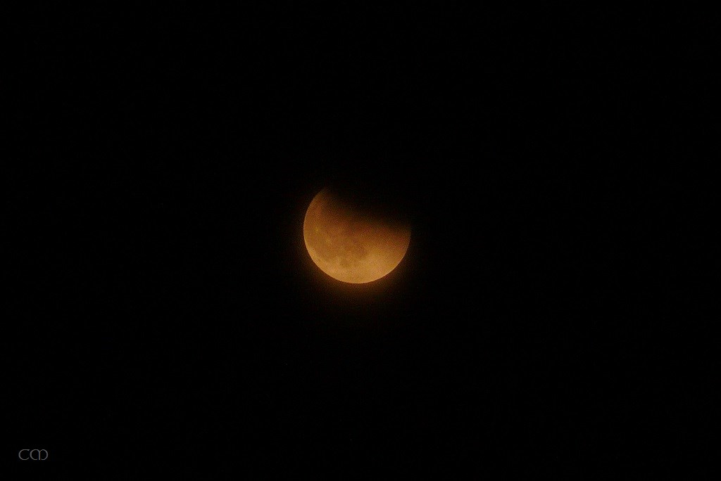 P2550636.JPG