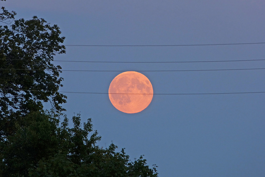 Vollmond im August (2).jpg