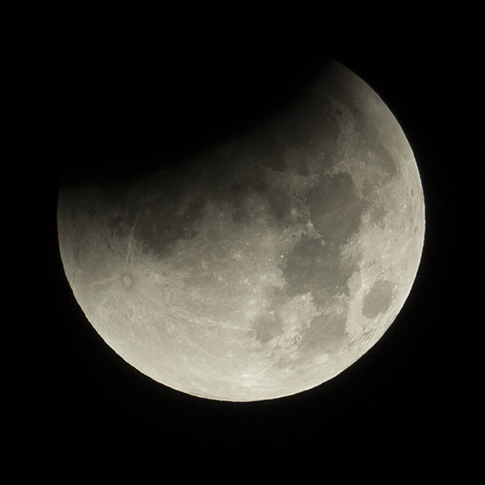 P1370324-2.jpg
