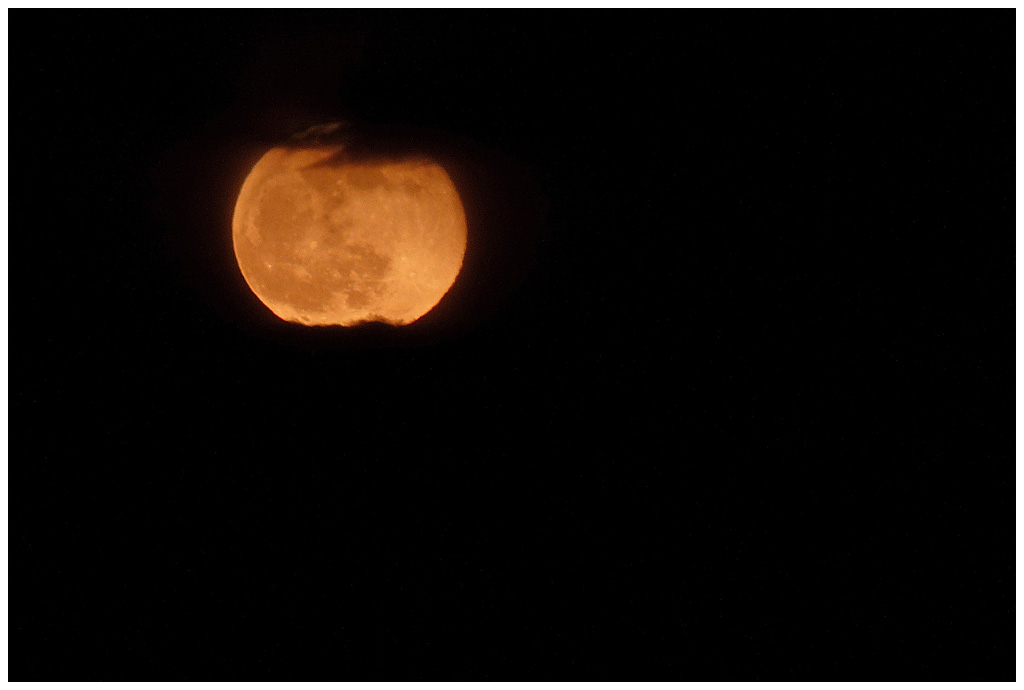 Mond Ostern auf dem Feld.jpg