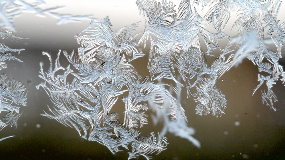 eisblume2.jpg