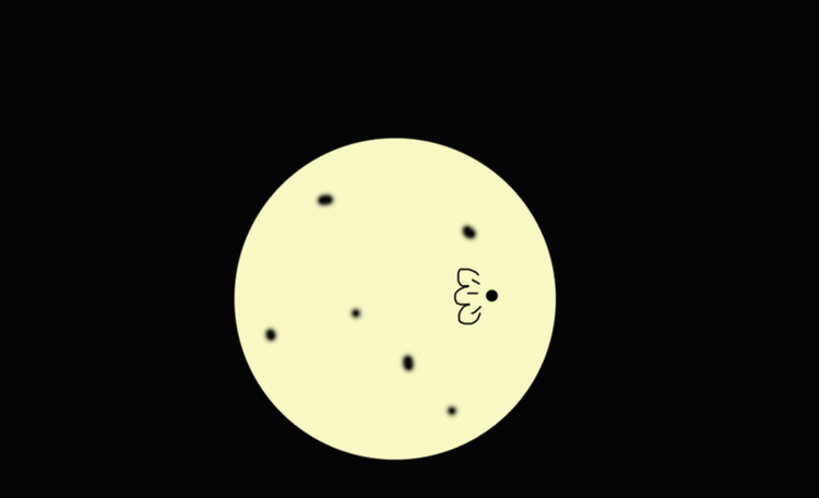 Unbenannt-1.gif