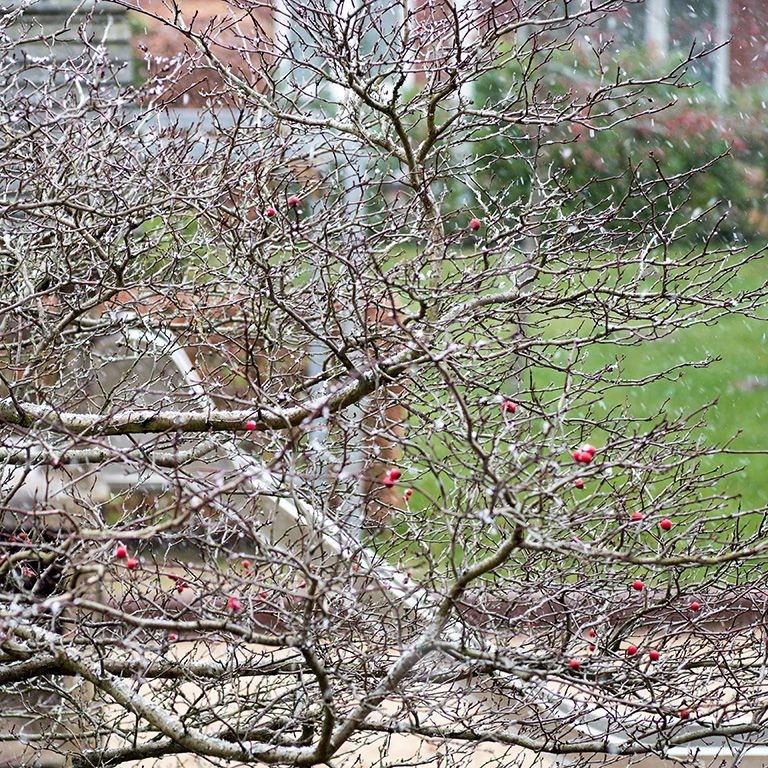 erster Schnee 01.jpg