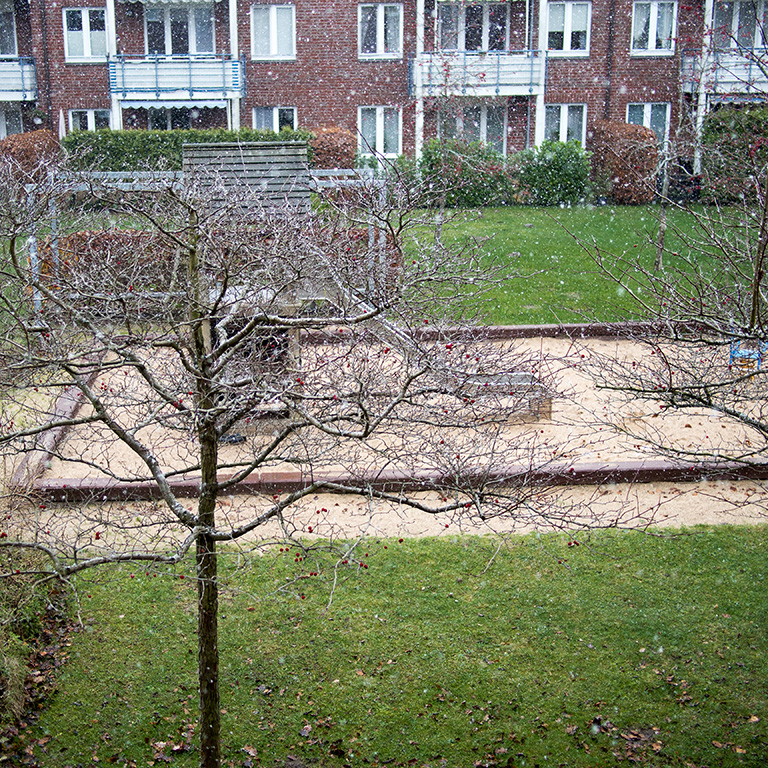 erster Schnee.jpg