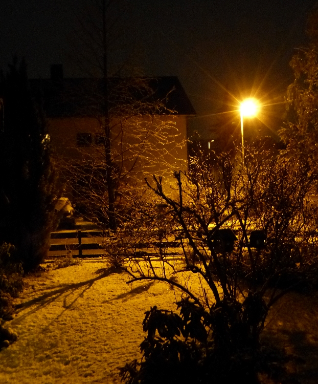 ersterSchneenov2015.jpg
