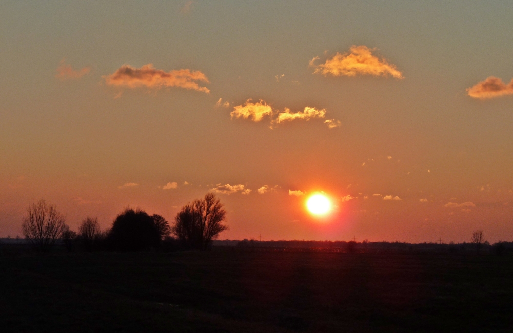 P1000739_bearbeitet.jpg