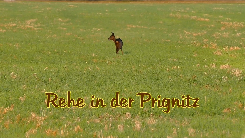 2015-11-25 verkleinert.jpg