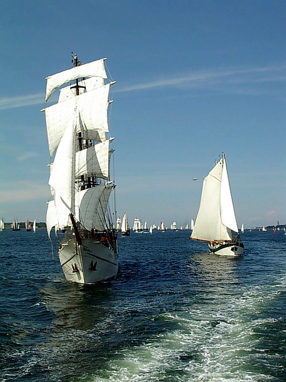 comp_Segelschiff im Wind.jpg