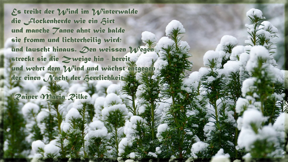 12.12.15_1.jpg