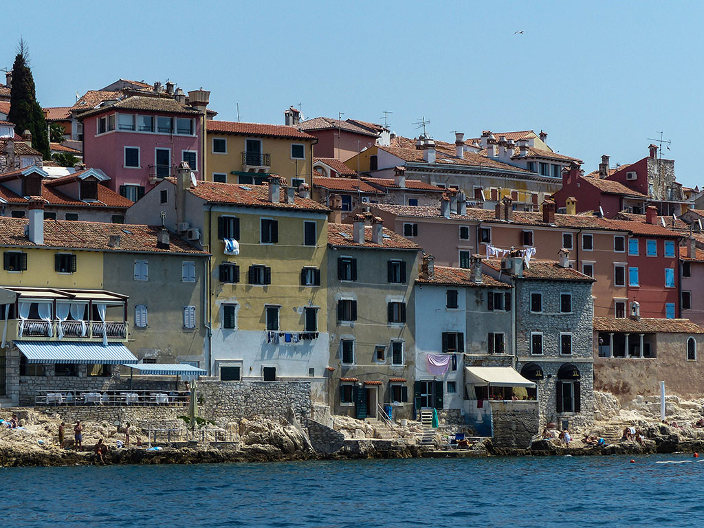 P1050091.jpg