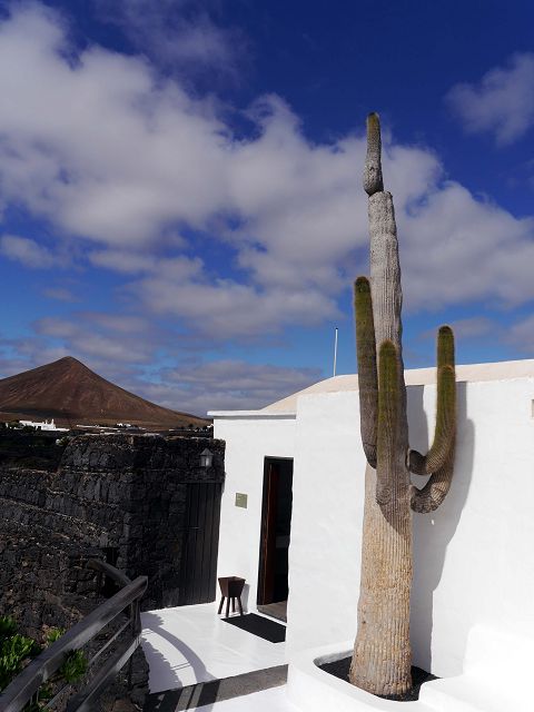 k-P1010297.JPG