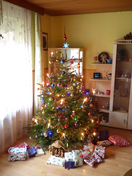 P1000087.jpg