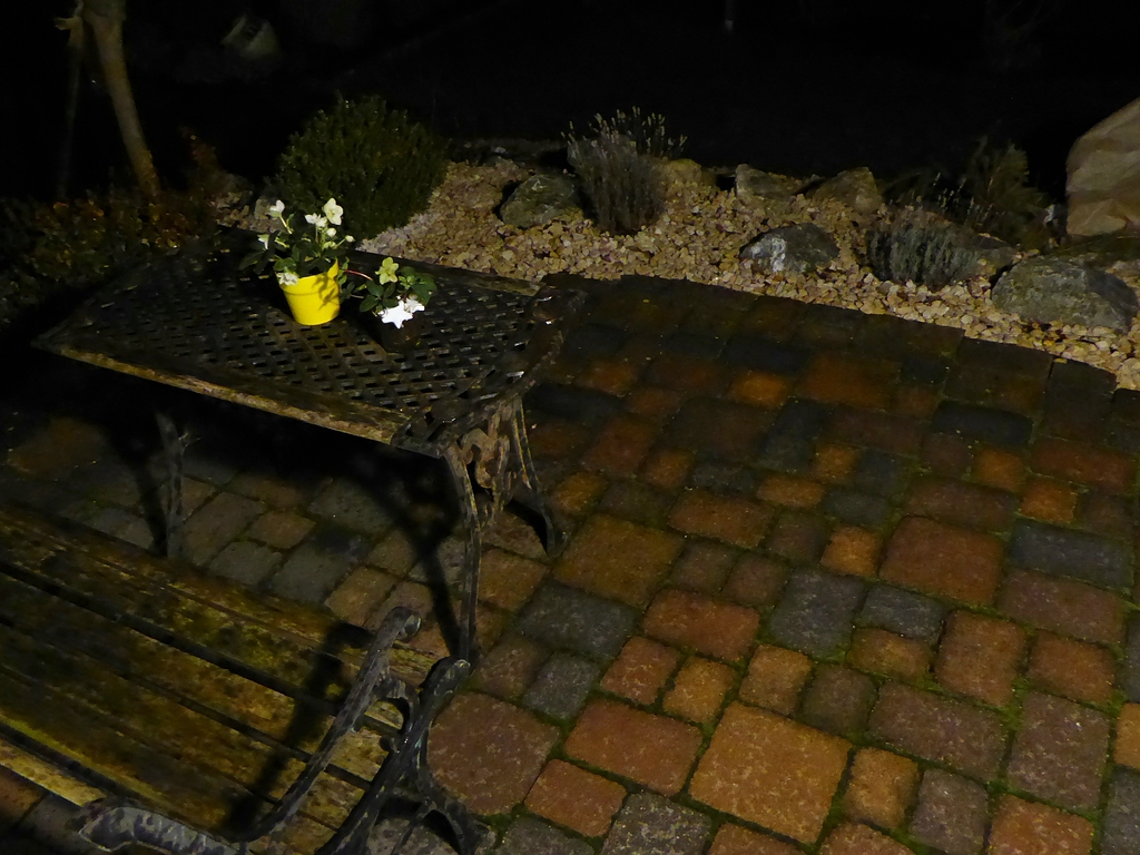 comp_P1020528.jpg