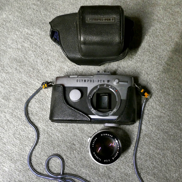 P1000742 x verkleinert.jpg