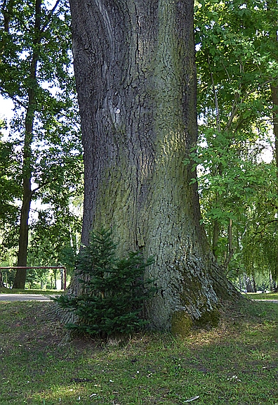 Fremdgegangen.jpg