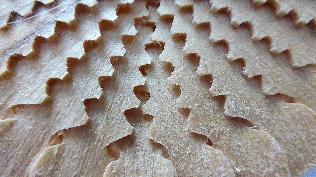 P1010063.jpg