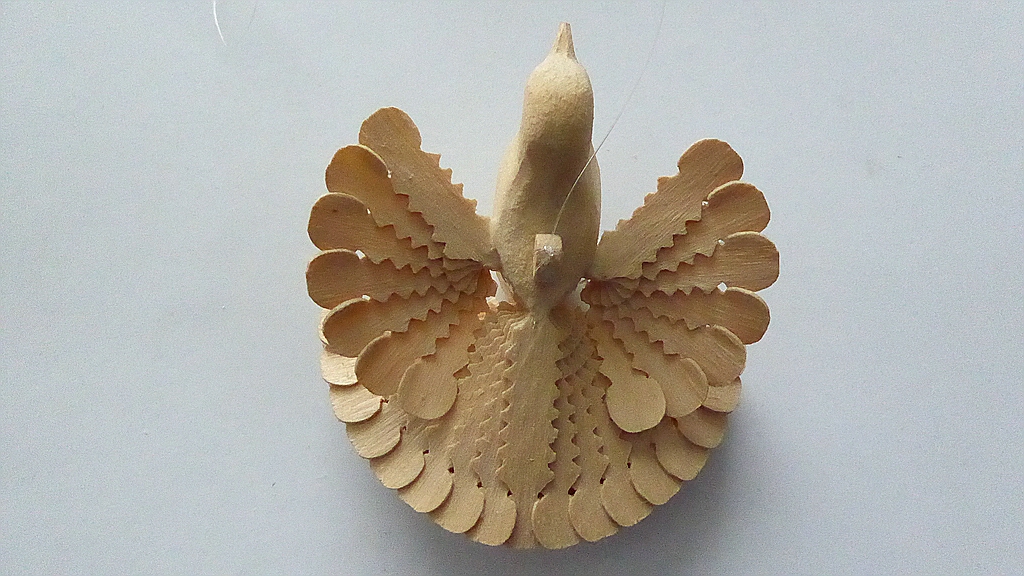 P1010066.jpg