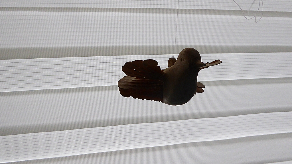 P1010067.jpg