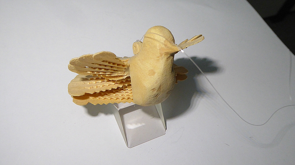 P1010075.jpg