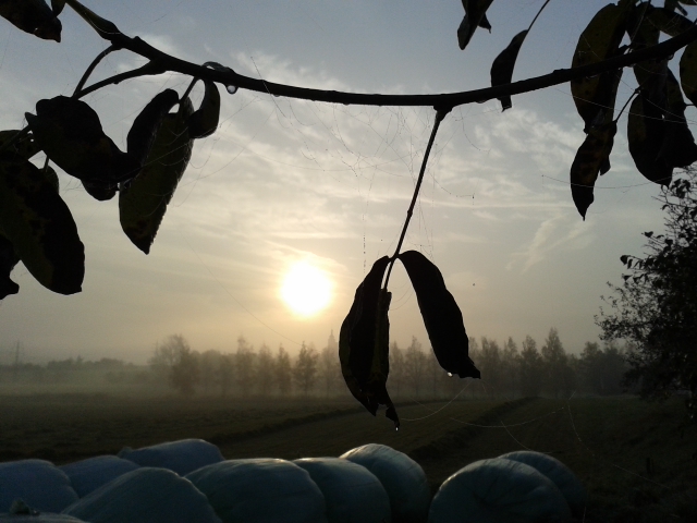 20141102_075714.jpg