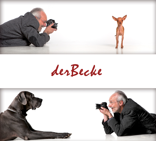 Vorschaubild-4.jpg