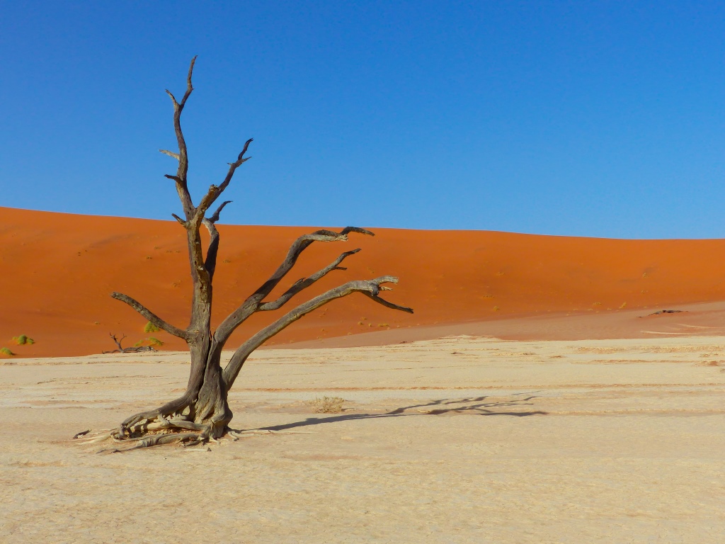 P1000336.jpg
