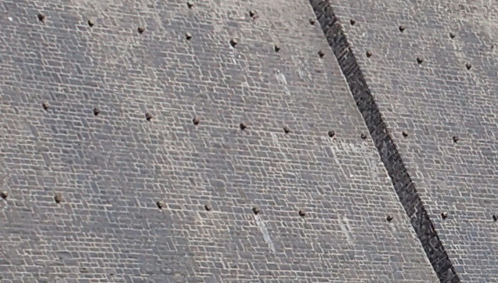 P5170018.JPG A 3.jpg