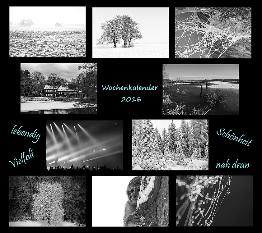Collage Bilder 1 PSE comp.jpg