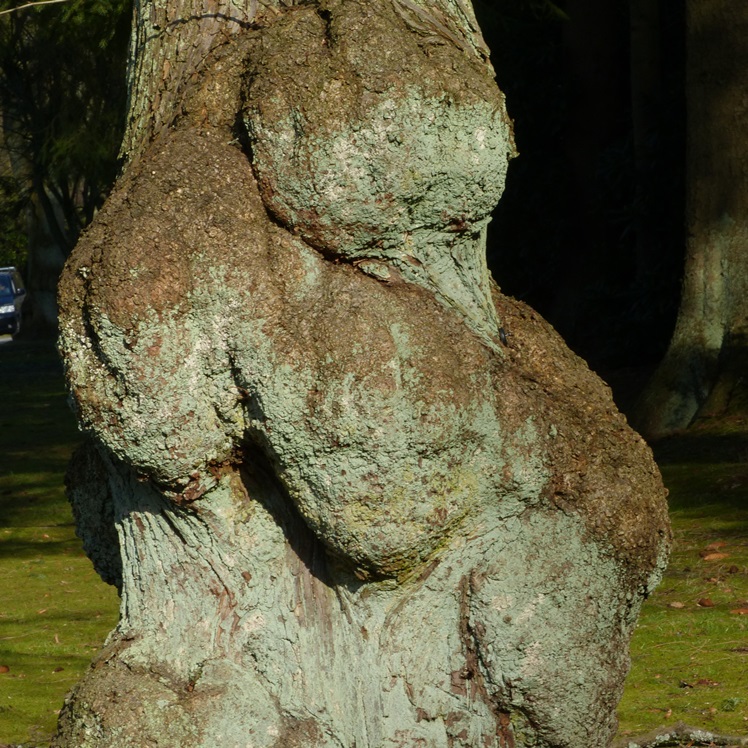 P1030616a.JPG