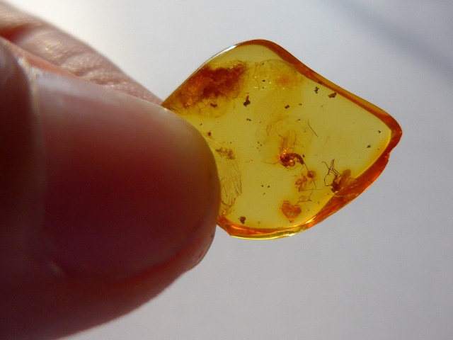 P1030862b (640x480).jpg