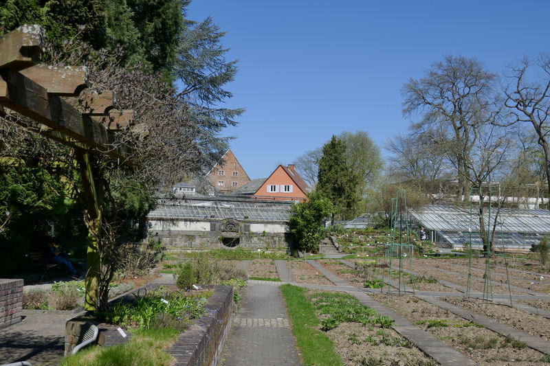Bild01_TZ101.JPG