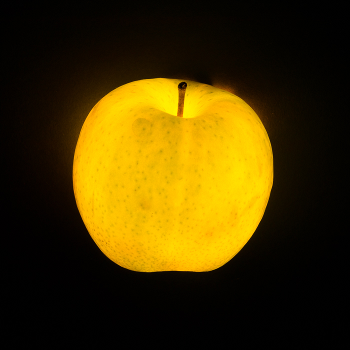 P1160869-LR.jpg