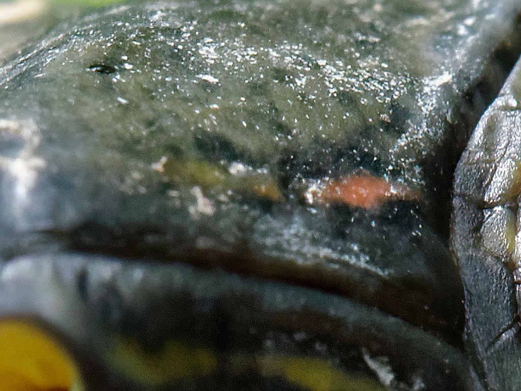 16042602.jpg