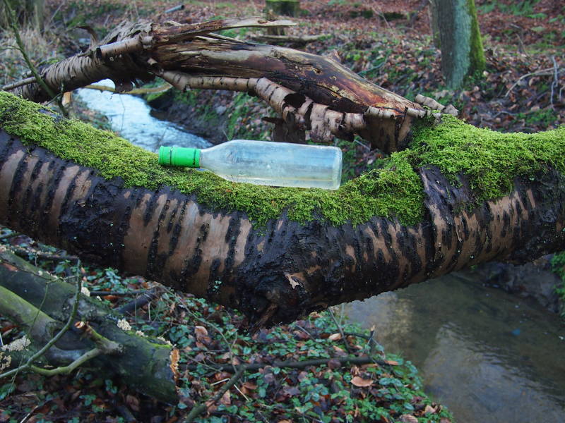 amWasser.jpg