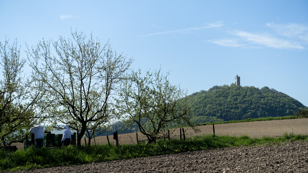 DSC02189.jpg